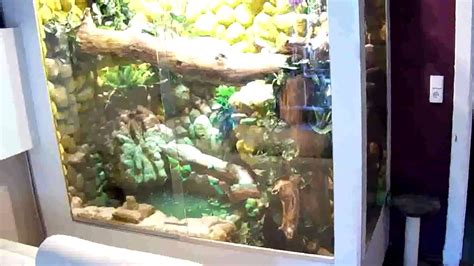 Iguana Terrarium - YouTube