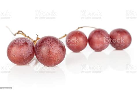 Rose Wine Grape Isolated On White Stock Photo - Download Image Now - Berry, Branch - Plant Part ...