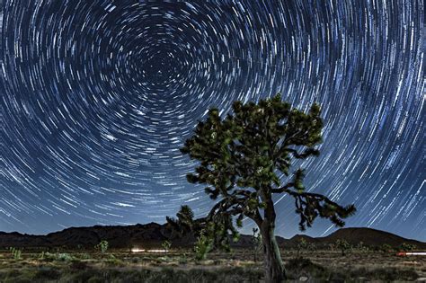 Star Trails over a 400 Year Old Joshua Tree [2000x1333] : r/ExposurePorn