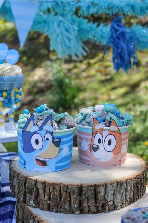 Bluey Backyard Birthday Celebration - Just Add Confetti | Recipe ...