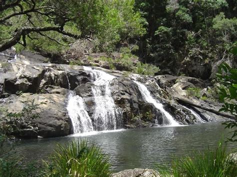 Booloumba Falls, Conondale National Park | Day Trips from Brisbane | Families Magazine