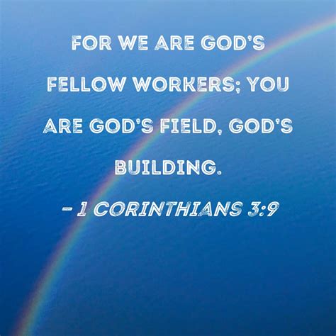 1 Corinthians 3:9 For we are God's fellow workers; you are God's field, God's building.