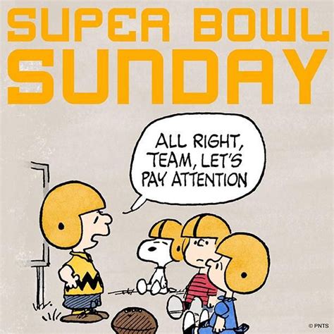 401 best images about Charles M. Schulz - Sports on Pinterest | Charlie ...