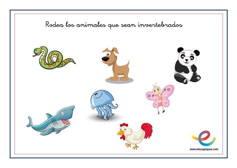 Dibujos Para Ninos De Animales Invertebrados Dibujos De – NBKomputer