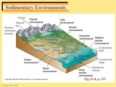 PPT - Sediments and Sedimentary Rocks PowerPoint Presentation, free ...