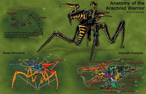 The \"Bugs\" - Starship Troopers "Bugs"