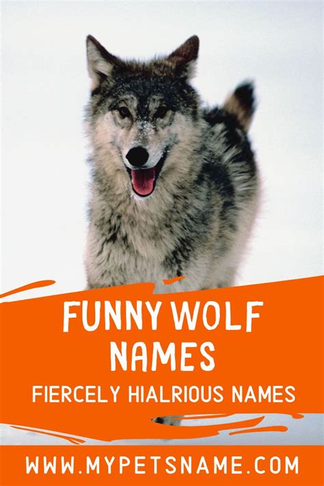 Funny Wolf Names | Wolf name, Funny wolf, Pet names