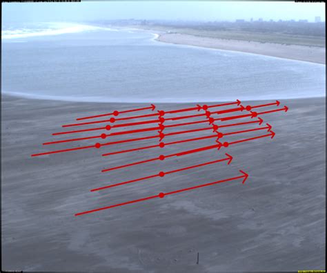 Dune formation - EcoShape