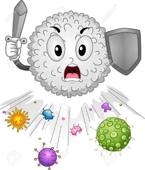 Immune system clipart 20 free Cliparts | Download images on Clipground 2024