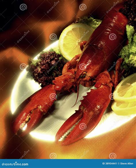 Maine Lobster - Langosta Americana Imagen de archivo - Imagen de cocina, tenazas: 38954441