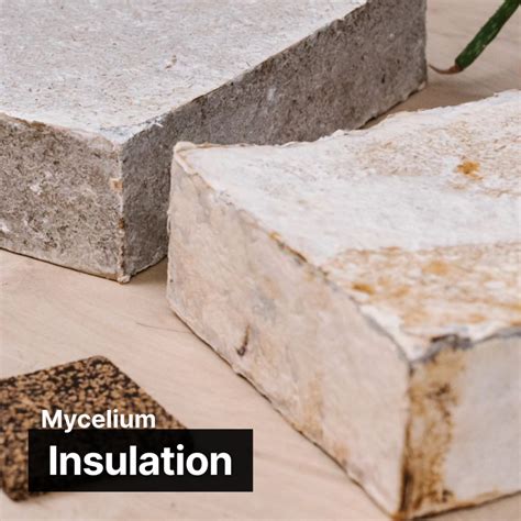 Mycelium Insulation - Mycelium Inspired