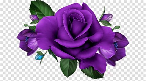 Download Purple Rose Png Hd Clipart Garden Roses Flower - Clip Art ...