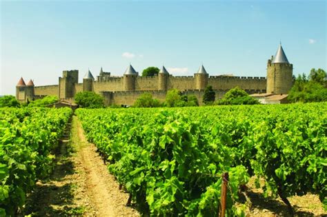 A taste of… Languedoc-Roussillon | Taste of France