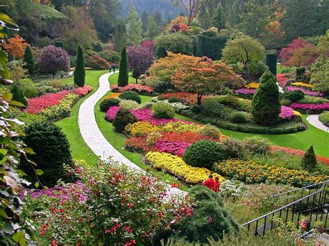 "Butchart Gardens VICTORIA BC in the FALL ........" by AnnDixon | Redbubble