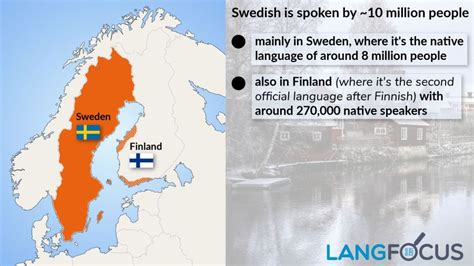 The Swedish Language