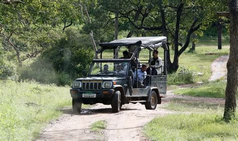 What you must know about Jeep Safari in Bandipur & Nagarhole (Kabini ...