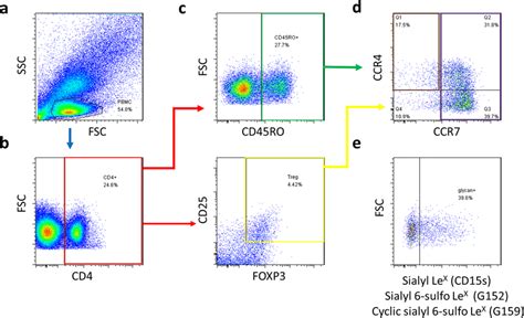 Gating strategy performed by flow cytometry. (a) PBMC were identified... | Download Scientific ...