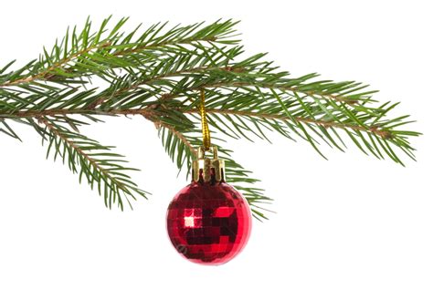 Christmas Tree Decoration Bough, Branch, Ornament, Hanging PNG Transparent Image and Clipart for ...