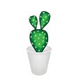 A Cactus Opuntia Microdasys in A Flower Pot Vector Image