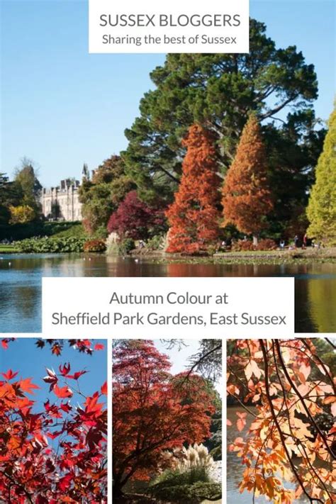 Sheffield Park Gardens Autumn | Sheffield park, Cool places to visit, Autumn scenery