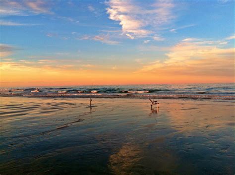 Duxbury Beach | Duxbury beach, Picture, Favorite places