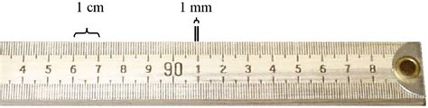 The Metric System and Measurement - Biology LibreTexts