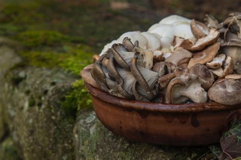 Maitake Mushroom Pasta with Spinach | Healthy Recipes