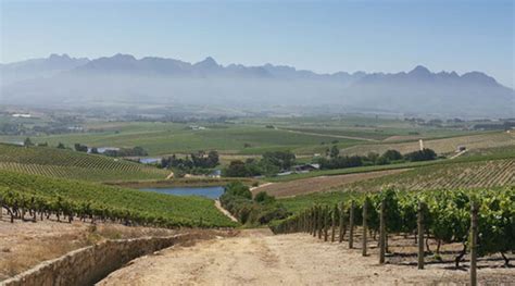 Zevenwacht Wine Estate, Cape Town - Businesses in South Africa