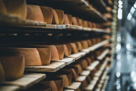 A Brief History of Austrian Cheese