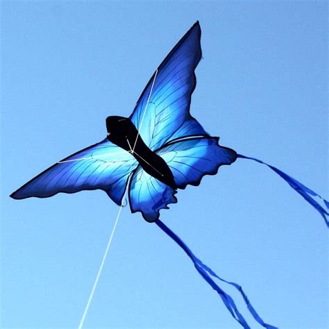 Butterfly Kite - GBRgot1