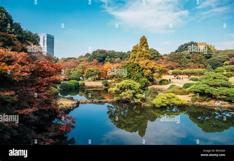 Shinjuku gyoen park hi-res stock photography and images - Alamy