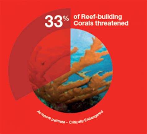 Coral reefs and climate change - resource | IUCN