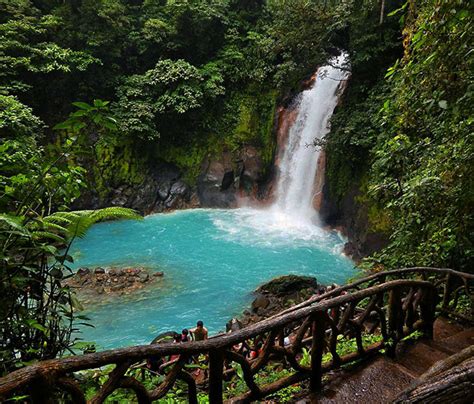 Rio Celeste National Park Guided Hike (Blue River) - Costa Rica ...