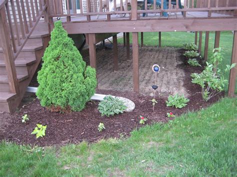 Best Landscape Ideas: Landscaping under deck