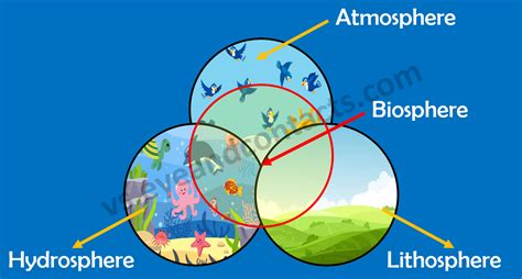 Biosphere Diagram