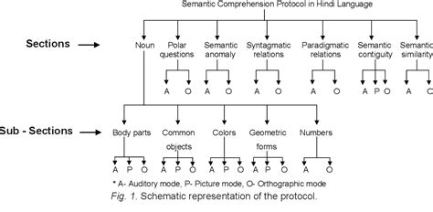 Figure 1 from Semantic Comprehension Deficits in Hindi Speaking Persons with Aphasia: A ...