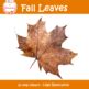 Free Realistic Fall Leaves Clipart by Fruits of Perseverance | TPT