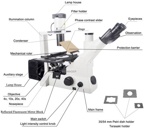 Inverted Microscope Optical Microscope Fluorescence M - vrogue.co