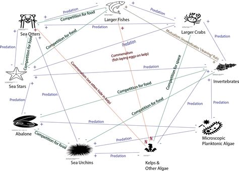 Species Interactions – An Interactive Introduction to Organismal and Molecular Biology, 2nd ed.