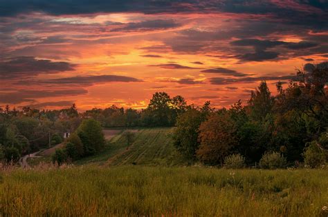 Green Grass Field during Sunset · Free Stock Photo