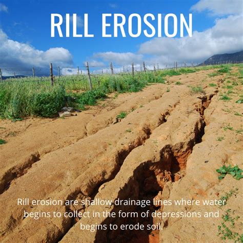 6 Types of Soil Erosion | GO Seed