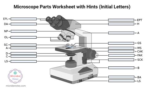 Microscope Parts Labeling Worksheet with Answer Key