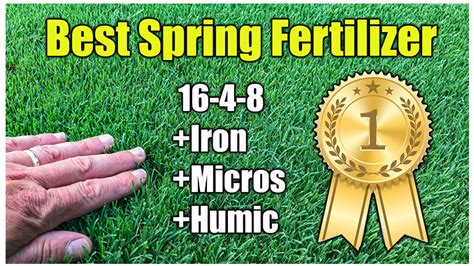 Best Spring Lawn Fertilizer Lawn Fertilizers