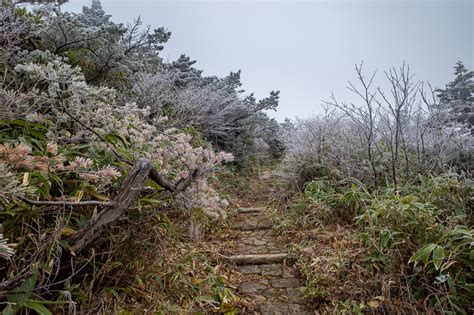 Ice capades on magic mountain-Climbing Mount Zao without the cable car-Japan-Yamagata-Hiking ...