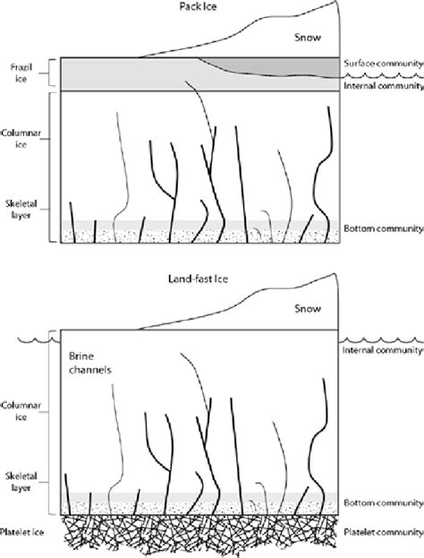 Schematic illustration of pack ice and land-fast ice showing the major... | Download Scientific ...