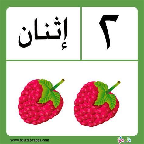 Free! Arabic Numbers 1-20 Flashcards Printable | Printable flash cards, Arabic alphabet for kids ...