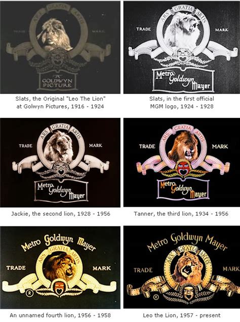 The MGM Lion: The Making - FunCage