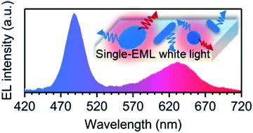 Single-emissive-layer all-perovskite white light-emitting diodes employing segregated mixed ...