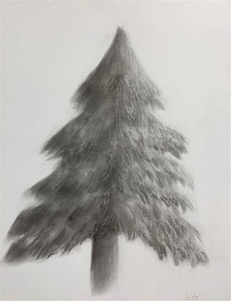 Charcoal Drawing, Drawing of a Tree, Charcoal Print, Nature Art, Hand ...