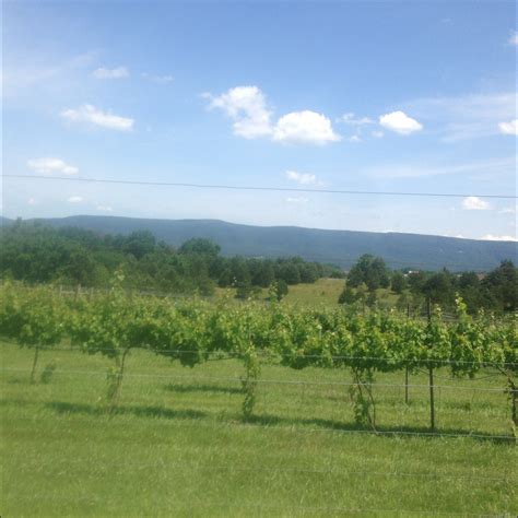 Shenandoah Wine Tours – Relax, We'll Drive